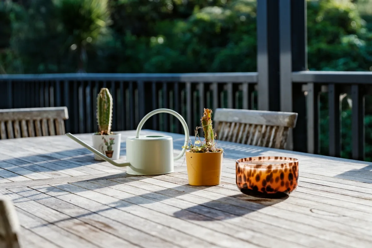 Plants on the sunny deck table